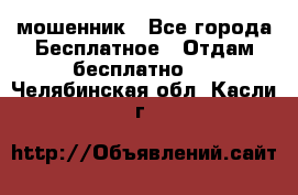 мошенник - Все города Бесплатное » Отдам бесплатно   . Челябинская обл.,Касли г.